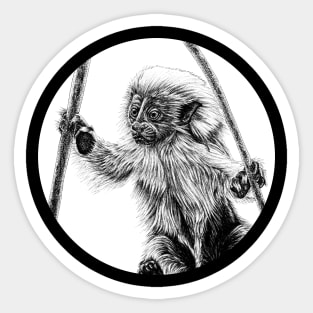 Cotton-top tamarin baby Sticker